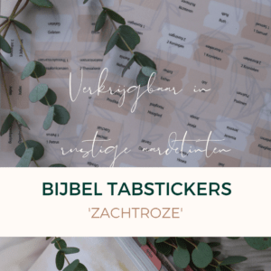 bijbel tabstickers 'zachtroze' nude